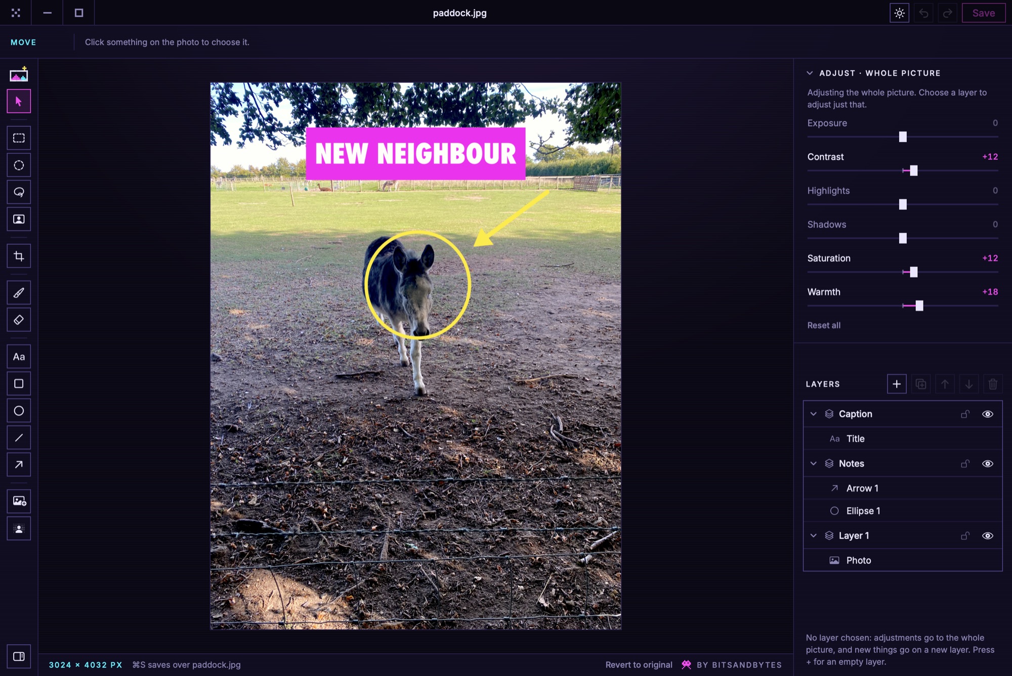 Imaginator editing a photo of a foal, with a caption, an arrow and a ring on their own layers
